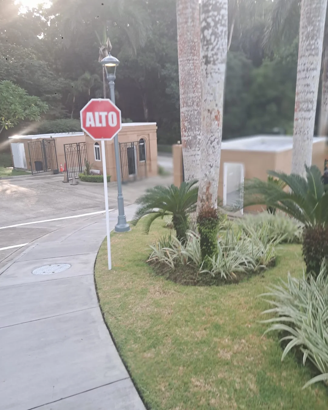 August 26-29, 2026 – Barbados to Panama City Temple — photo 3
