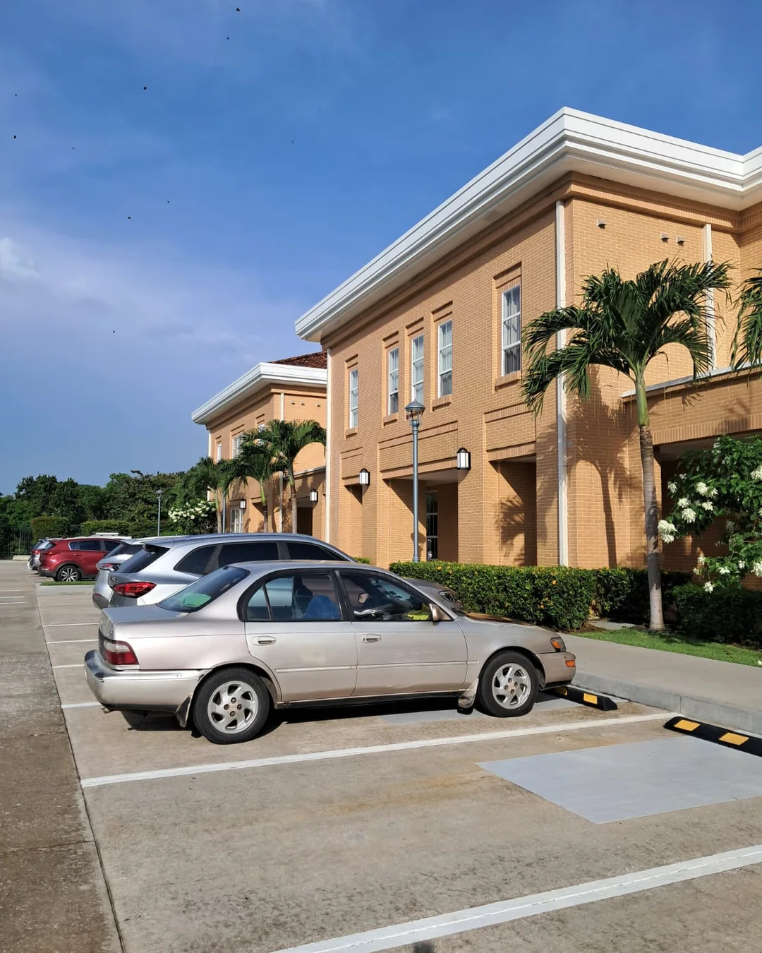 August 26-29, 2026 – Barbados to Panama City Temple — photo 1